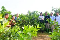 Thước đo năng lực cán bộ