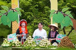 'Cây na số' kết nối nông sản, sẻ chia cùng người nghèo tại xã Võ Nhai