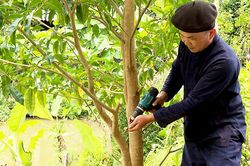 Người n&ocirc;ng d&acirc;n s&aacute;ng tạo n&acirc;ng tầm n&ocirc;ng sản từ sản phẩm OCOP