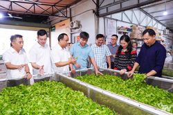 Tiếp thu kiến nghị của c&aacute;c cơ sở sản xuất