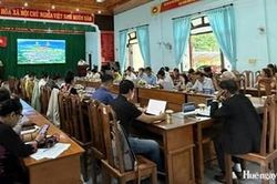 Thúc đẩy phát triển lâm nghiệp bền vững hướng đến Net Zero 2050