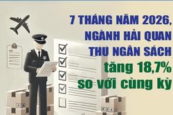 Infographics: Ngành Hải quan thu ngân sách 7 tháng đạt 309.994 tỷ đồng