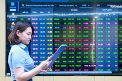 Thị trường chứng khoán tháng 8 trước cơ hội hồi phục sau nhịp điều chỉnh mạnh