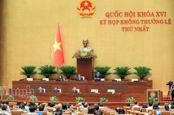 Áp dụng cơ chế đặc thù nhưng không hợp pháp hóa sai phạm