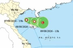 Các tỉnh từ Quảng Ninh đến Quảng Trị chủ động ứng phó áp thấp trên biển Đông