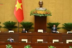 Cắt giảm thủ tục, điều kiện kinh doanh trong khoa học, n&ocirc;ng nghiệp v&agrave; m&ocirc;i trường
