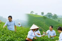 Bí thư Đảng uỷ xã 'lên sóng' kể chuyện Long Cốc Bài 1: Người đứng đầu mở 'mặt trận' mới trên không gian số