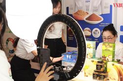 Xuất khẩu trực tuyến thời AI: Doanh nghiệp Việt tăng tốc thế nào?
