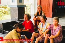 Những đứa con kh&ocirc;ng bao giờ lớn