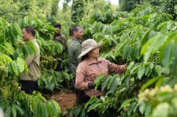 Doanh nghiệp tìm sức bật từ phát triển bền vững