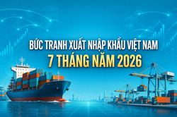 [Infographic] Bức tranh xuất nhập khẩu 7 th&aacute;ng năm 2026