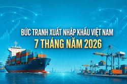 [Infographic] Bức tranh xuất nhập khẩu 7 th&aacute;ng năm 2026