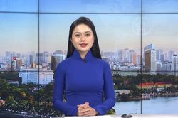 Chương trình Thời sự 11h30 | 07/08/2026