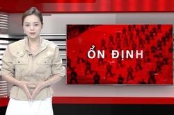 Bản tin 141 | 07/08/2026