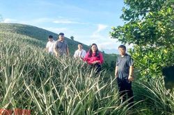 Công tác dân vận của hệ thống chính trị: Từ những việc làm vì dân