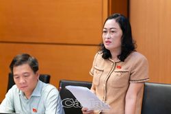 Hoàn thiện thể chế, tạo động lực phát triển đô thị và cải cách thủ tục hành chính