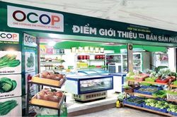 Hà Nội kết nối tiêu thụ nông sản, sản phẩm OCOP