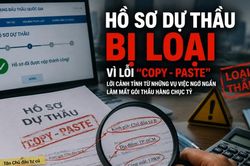 Copy/Paste hồ sơ dự thầu và những lỗi cần tránh