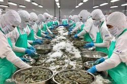 Kiểm soát dư lượng kháng sinh: Chìa khóa nâng cao giá trị thủy sản Việt Nam