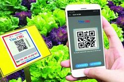 Làm nông nghiệp hữu cơ: Khó hôm nay để dễ ngày mai