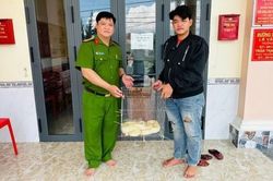 Cà Mau: Người dân tự nguyện giao nộp trăn gấm quý hiếm để thả về tự nhiên