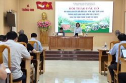 Quảng Trị: Hội thảo đầu bờ mô hình chuyển đổi đất lúa kém hiệu quả sang trồng ngô sinh khối