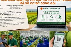 Đắk Lắk đơn giản hóa cho các thủ tục trong cấp mã số vùng trồng, cơ sở đóng gói nông sản