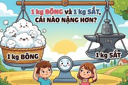 Câu đố hack não: 1 kg bông và 1 kg sắt cái nào nặng hơn