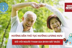 Hướng dẫn thủ tục hưởng lương hưu đối với người tham gia BHXH bắt buộc
