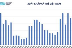Năng lượng dẫn dắt thị trường, MXV-Index tiếp đ&agrave; hồi phục