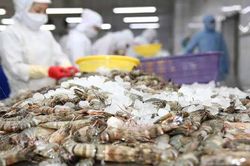Một ng&agrave;nh h&agrave;ng mũi nhọn của Việt Nam ghi nhận con số xuất khẩu cả tỉ USD chỉ trong một th&aacute;ng