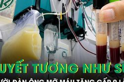 Huyết tương trắng đục như sữa, chỉ số mỡ máu tăng gấp 9 lần