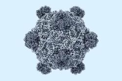 Mỹ tạo 16 loại virus chưa từng có ngoài tự nhiên bằng AI