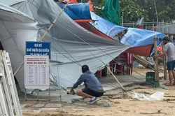 Áp thấp nhiệt đới gây sóng biển cao 4m, 8 tỉnh thành khẩn trương ứng phó