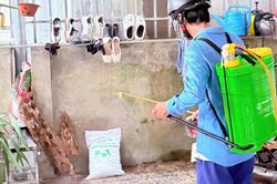 Ph&aacute;t hiện ổ dịch sốt xuất huyết tại H&agrave; Tĩnh