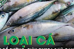 3 loại c&aacute; gi&aacute; rẻ b&aacute;n đầy chợ Việt nhưng bổ hơn nhiều người tưởng, gi&agrave;u omega-3 v&agrave; canxi