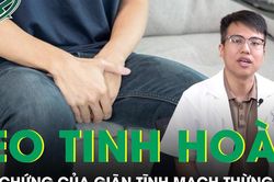 Giãn tĩnh mạch thừng tinh có thể gây teo tinh hoàn và rối loạn cương dương