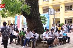Hà Nội yêu cầu hoàn thành phát hành sách giáo khoa trước năm học mới