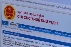 Đề xuất giảm thuế cho hộ kinh doanh, doanh nghiệp có doanh thu đến 10 tỷ đồng
