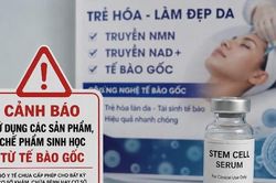 Cảnh gi&aacute;c với quảng c&aacute;o l&agrave;m đẹp bằng tế b&agrave;o gốc