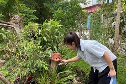 Sốt xuất huyết v&agrave;o m&ugrave;a cao điểm