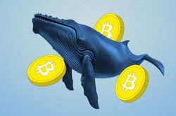 'Cá voi', 'cá mập' đang gom Bitcoin