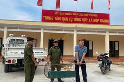 Lào Cai: Xã Hợp Thành ra quân bắt chó thả rông, lập lại trật tự nơi công cộng