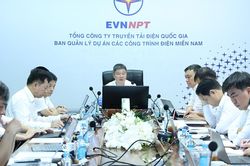 Dồn lực, quyết tâm đóng điện 14 dự án khu vực phía nam trong 5 tháng cuối năm
