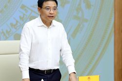 Phó Thủ tướng Nguyễn Văn Thắng: Xử lý đến cùng các vướng mắc, không đẩy doanh nghiệp đi vòng