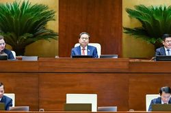 Đô thị đặc biệt cần được xây dựng trên nền tảng xã hội bền vững, văn minh