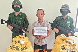 Quảng Trị: Bắt đối tượng vận chuyển, tàng trữ hơn 135kg vật liệu nổ và nhiều mìn tự chế