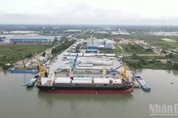 Cần Thơ mời gọi đầu tư 5 dự án trọng điểm đến năm 2030