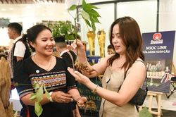 Đà Nẵng tạo động lực phát triển ngành dược liệu
