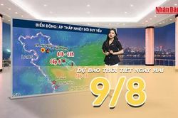 [Video] Dự báo thời tiết đêm nay và ngày mai ngày 9/8/2026: Áp thấp nhiệt đới suy yếu, Bắc Bộ đón nắng trở lại